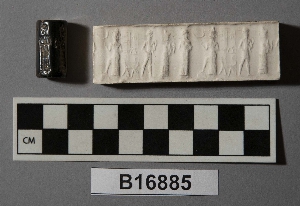 B16885