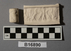 B16890