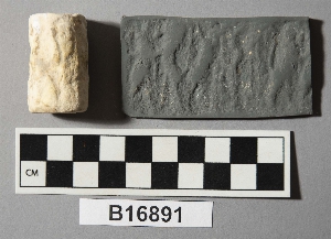 B16891