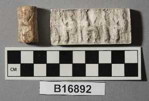 B16892