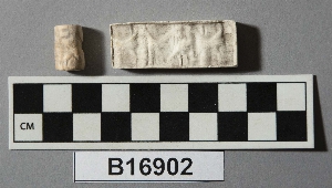 B16902