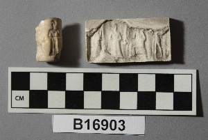 B16903