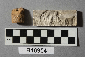 B16904