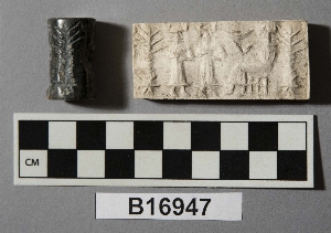 B16947