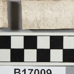 569981