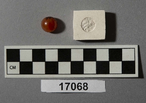 17068