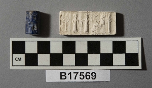 B17569