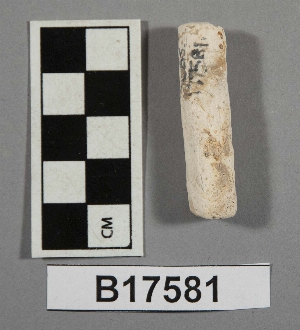 B17581