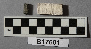 B17601