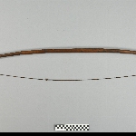 570225