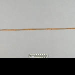570346