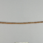 570436