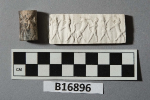 B16896
