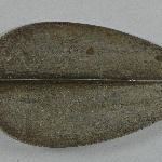571359