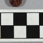 571667