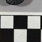 572905