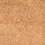 574155