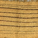 574359