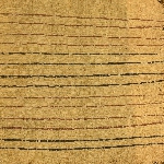 574367