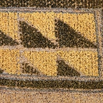 575258