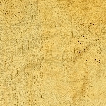 575564