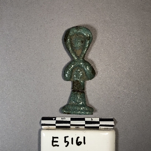 E5161