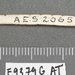 576451
