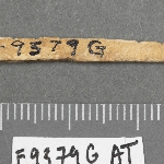 576470
