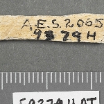 576479