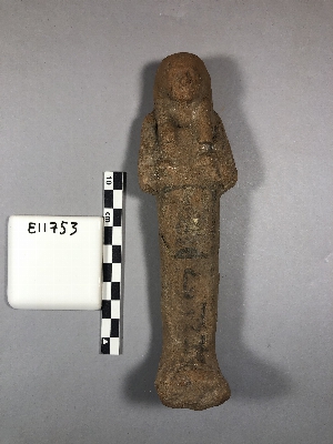 E11753