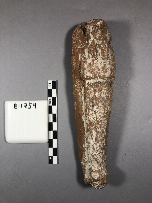 E11754