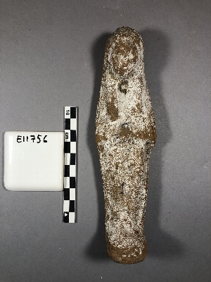 E11756