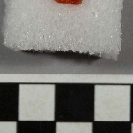 577147