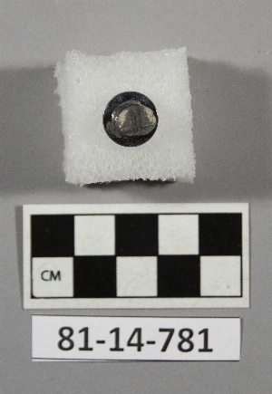 81-14-781