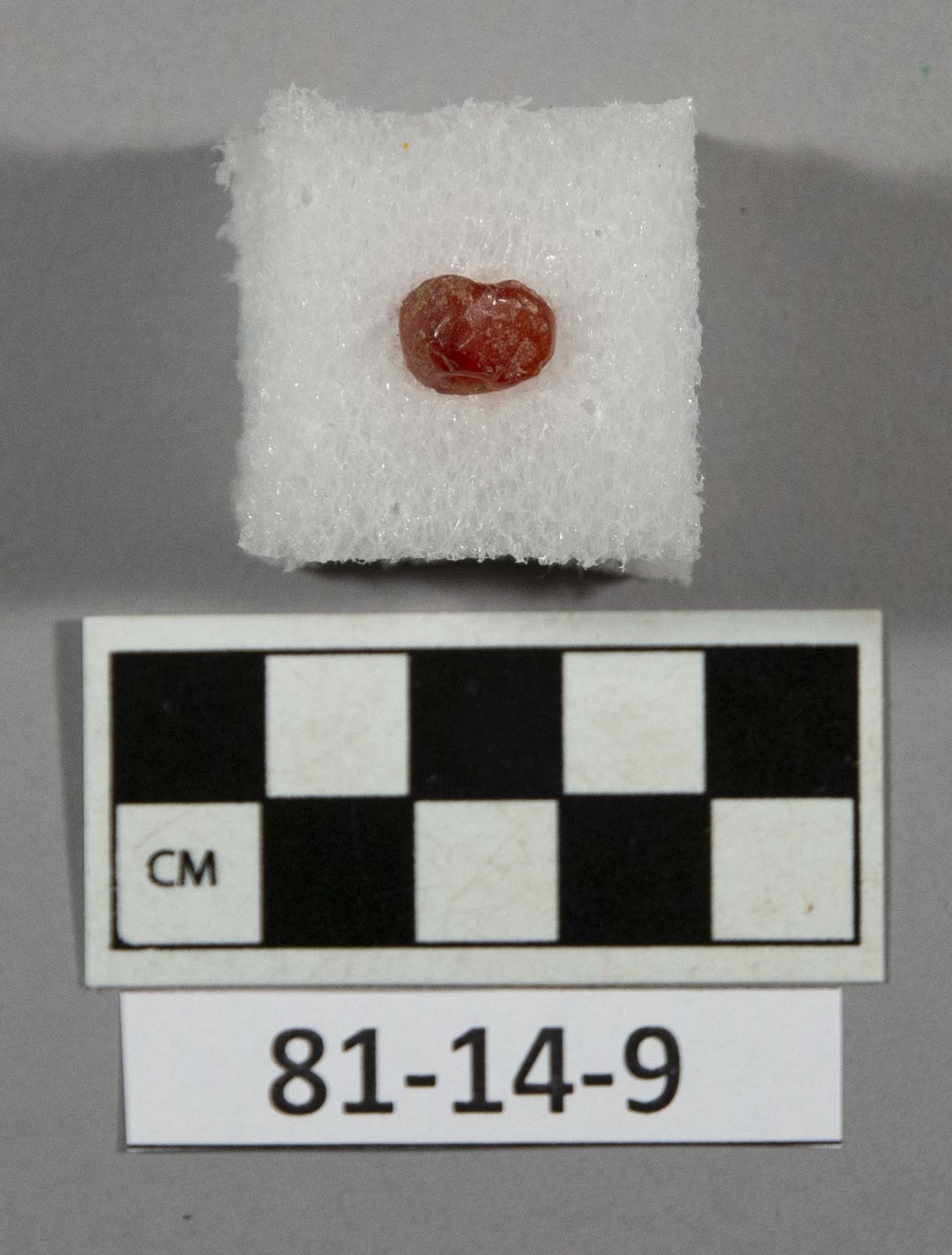 577156