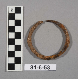 81-6-53