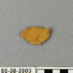 577864