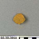 578020