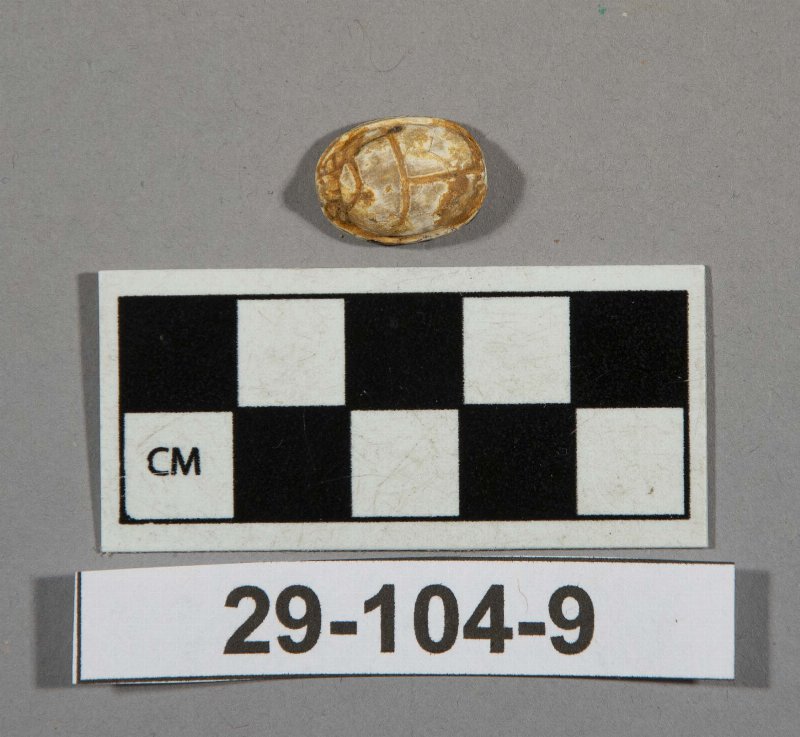 579117