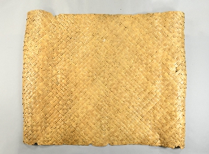 P2945A