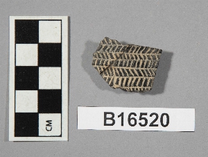 B16520