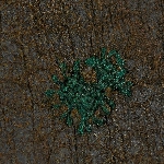 584505