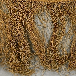 584701
