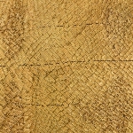 584753