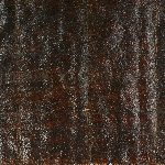 585032