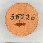 585422