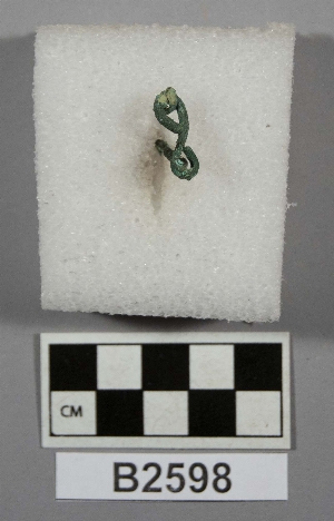 B2598