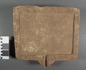 E11361