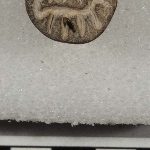 590337