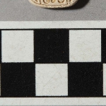 590367